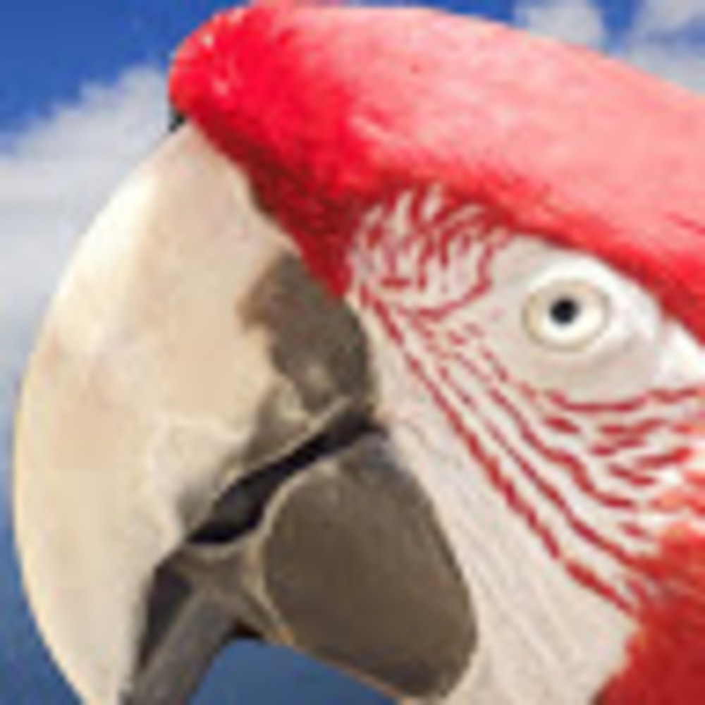 Meet your Posher, Onebloodgaming